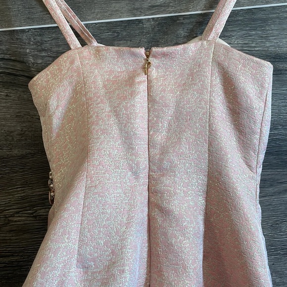 Pamella Roland Metallic Pearl Pink Evening Dress - Picture 7 of 9